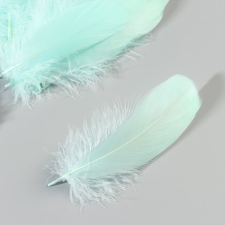 A set of goose feathers 13-18 cm, 20 pcs, sea wave-2
