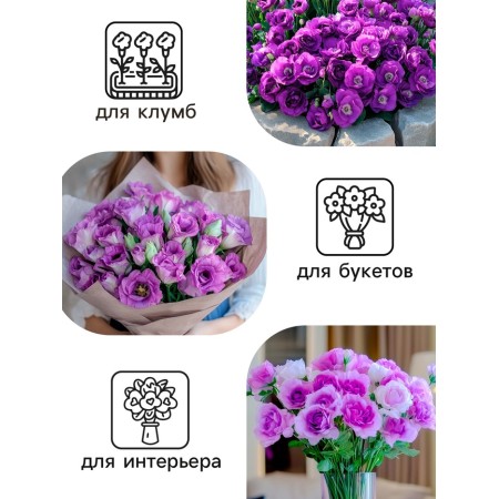 Eustoma Eustoma "Aibisi" F1 purple large -flowered terry, 5pcs-2