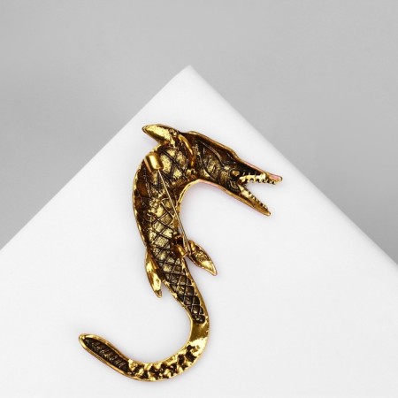 Brooch "Pike" river, red-pink color in black gold-1