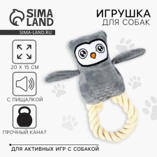 A toy for dogs with a rope 