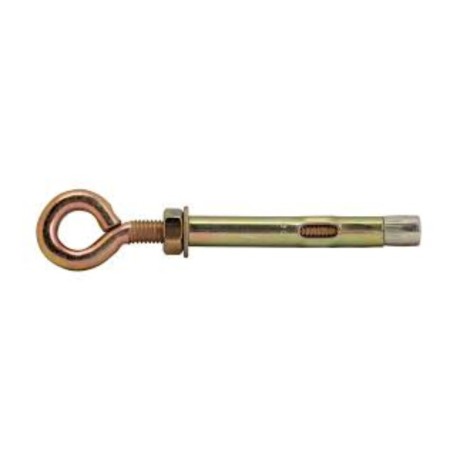 Steelrex anchor bolt, with a ring, galvanized, 10x60 mm, 50 pcs