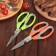 Scissors kitchen shares "Drive", 22 cm, with an opener for a bottle, color mix