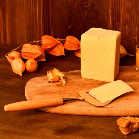 Slice for cutting solid and soft cheese multidestia "Cheese fantasy", length 22 cm-4