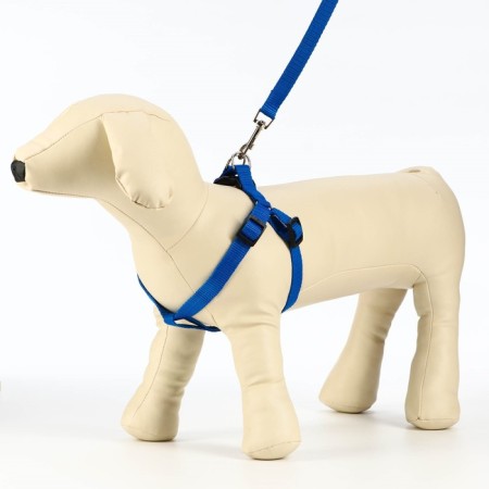 Set "Basis", leash 120 x 1.5 cm, OG 32-46 cm, blue-5