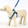 Set "Basis", leash 120 x 1.5 cm, OG 32-46 cm, blue