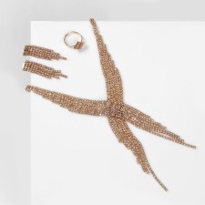 Set 3 objects: earrings, necklaces, ring 