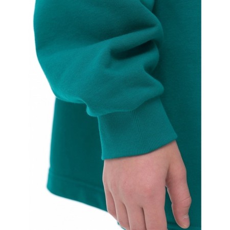 Hoody for the boy Pelican, height 140 cm, emerald color-6