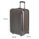 Suitcase Fusion FTS-1003, M, gray/orange