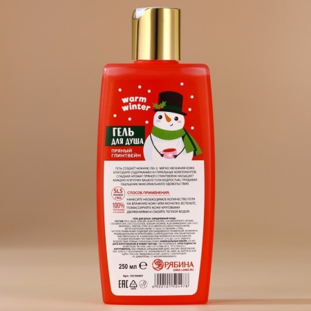 Shower gel Winter Melody, 250 ml, spicy mulled wine aroma, Ural Lab-2
