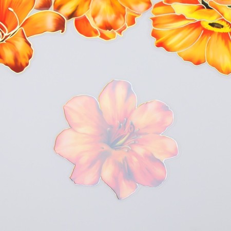 Stickers for creativity "Orange flowers" set 10 pcs 0.2x8.5x13.3 cm-2