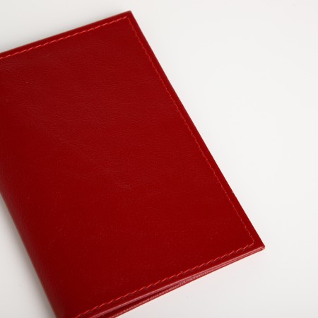 Cover for passport, Textura, red color-3