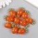 Busina for creativity plastic "Carrots" 3.2x2.3x1.5 cm