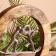 Interior souvenir in the wooden ring "Labor" 30x8x33 cm