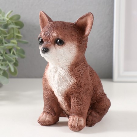Figure "Puppy Chihua Hua" 15 x 9 x 11.5 cm.-4