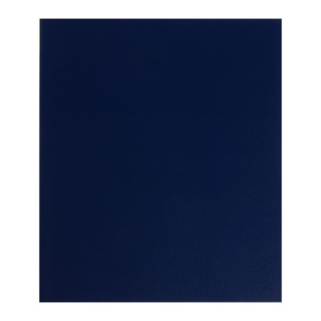 Album for Coins "Standard", 230 x 270 mm, Optima, without sheets, blue