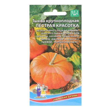 Pumpkin Seeds "motley beauty - large -fruited", 6 pcs