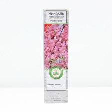Almonds of three -lobed Rosenmund, tube, 1 pc, spring 2025