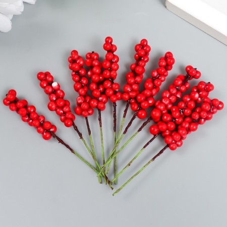 Decor for creativity "Vetochka with berries" Red set 10 pcs 1x1x9 cm-2