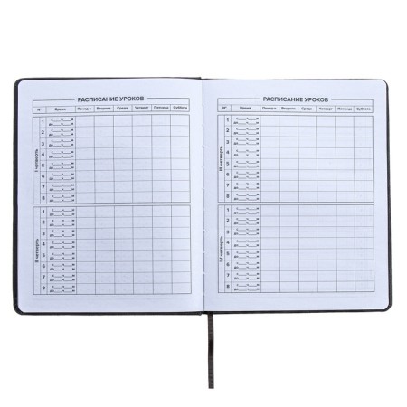 Universal Grade 1-11 Diary, 48 sheets "Traces", hard cover of artificial leather, embossing foil, liesse, OFSET block-7