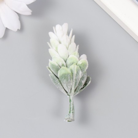 Artificial plant for creating a florarium "bump" 6 cm-2