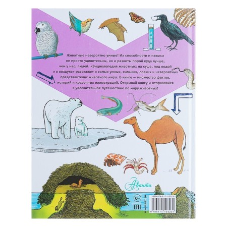 Animal Encyclopedia: on land, under water and in the air. Farndon D.-5
