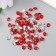 Decor for creativity in the bottle "Rhinas. Red" set 250 pcs d = 0.6 cm 4x3x3 cm