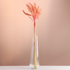 Set of dried flowers 