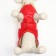 Jacket for dogs with weighting size 10 (DS 25, OG 34, Osh 24), gold-red