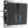 Two-valve switch with WL08-SW-2G-LED backlight, black color