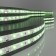 Elektrostandard LED strip, IP65, 2835, 60LED/m, 12V, Green glow