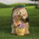 Garden figure "Hedgehog with pansies" 28x18x20cm