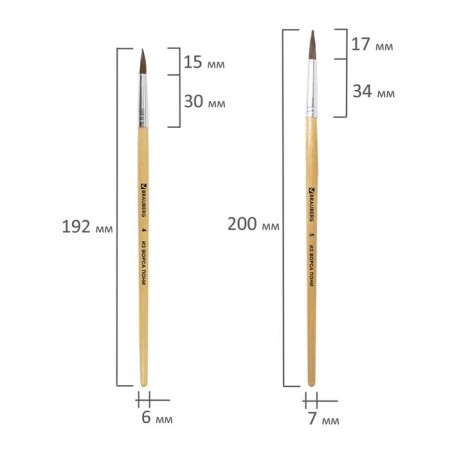 Set of brushes "Pony", 5 pieces, Brauberg (round, No. 1, 2, 3, 4, 5), blister-3