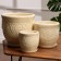 Set of pots 3pcs. Sirius White: 8.5l, 3.5l, 1.6l