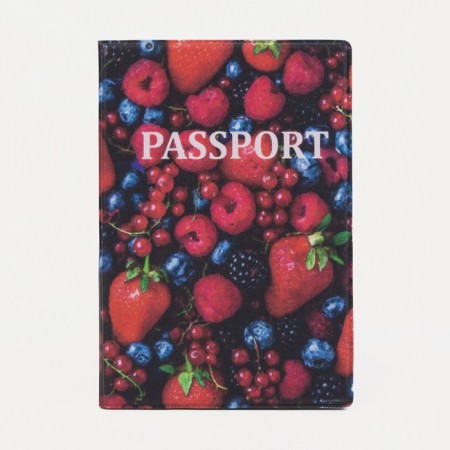 Cover for passport, red/blue color