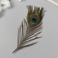 Decorative feather 