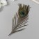 Decorative feather "Peacock" h = 25-30 cm