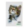 Stick 3D Interior cat 25*17cm