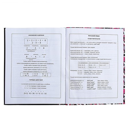 Universal Diary Grade 1-11, 48 sheets "Glamorous mouse", integral cover, glossy lamination, offset block-12