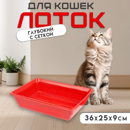 Deep toilet with a mesh of 36 x 25 x 9 cm, red