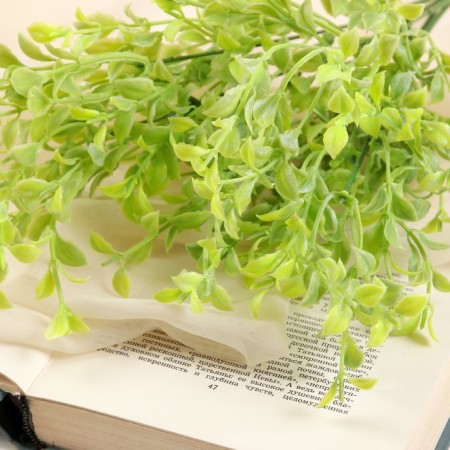 Букет "Рускус мини" 28 см, микс-1