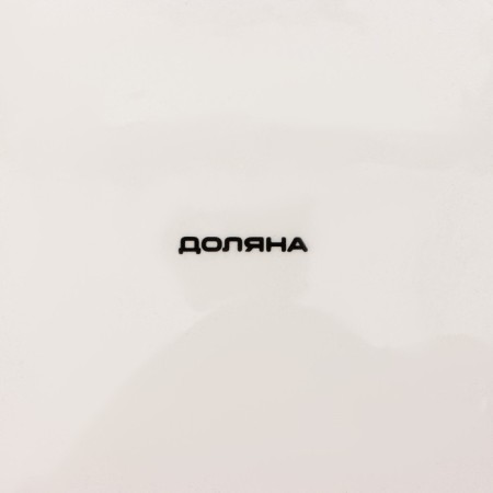Serving shares "Christmas snowman", d = 20 cm, white color-4