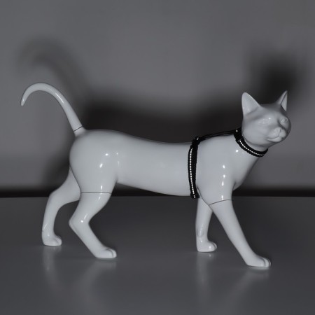 Cat for cats, width 1 cm, reflective, Osh 16.5-27 cm, fire 21-35 cm, black-6