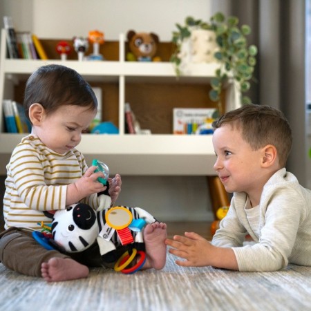 Suspended toy Baby Einstein "Zebra"-5