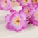 Flowers artificial "Branch of the apple" 4.5x58 cm, lilac