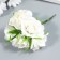 Flowers for decorating "Rosa Flying White" 1 bouquet = 6 colors 9 cm