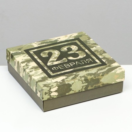 Folding box, "camouflage" 20 x 20 x 6 cm-1