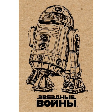 Notepad A5, 96 sheets on the paper clip R2-D2, craft, hard cover