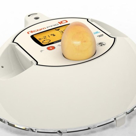 Incubator, 10 eggs, automatic coup, 220 V, RCOM-2