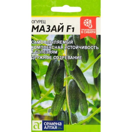 Seeds of the cucumber "Mazai", early -ripe, parthenocarpic, CPU, 5 pcs.