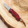 Folder Folding "Akage" 13.5cm, blade 57mm/2.5mm, handle of wood